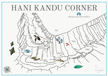 Hani Kandu